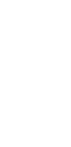 Bibo